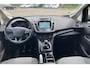 Ford C-Max 1.0 EcooBoost 125pk Titanium | Trekhaak