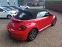 Volkswagen Beetle Cabriolet 1.2 TSI Sound, Cruise, carplay, navigatie