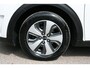 Kia Niro 1.6 GDi PHEV Hybrid ExecutiveLine , LEER, AIRCO, NAVIGATIE, CAMERA, TREKHAAK