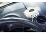 Volkswagen Beetle New 1.6 CABRIOLET 75KW Highline Airco Elect Kap NL-Auto 1e Eig