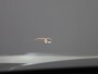 BMW 5-Serie 530e iPerformance High Executive | M-Sportpakket | Head-up Display | Parkeersensoren | Stoelverwarming |