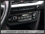 Kia e-Niro DynamicLine 64 kWh Carplay Camera Stoelverwarming