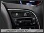 Kia e-Niro DynamicLine 64 kWh Carplay Camera Stoelverwarming