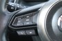 Mazda 2 1.5 SKYACTIVG SKL+ **NL-Auto** navigatie / allseason banden / Afn. Trekhaak