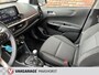 Kia Picanto 1.0 DPi DynamicLine AchteruitrijCam./Airco/Cruise/AppleCarplay/LM-14"