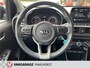Kia Picanto 1.0 DPi DynamicLine AchteruitrijCam./Airco/Cruise/AppleCarplay/LM-14"