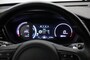 Kia e-Niro DynamicLine 64 kWh - Carplay, Camera, Stoelverw. leer, SOH 100%