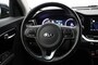 Kia e-Niro DynamicLine 64 kWh - Carplay, Camera, Stoelverw. leer, SOH 100%