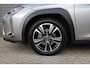 Lexus UX 250h Luxury Line / Carplay / Camera / Leer