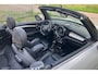 MINI Cooper Mini Cabrio 1.5 Chili Serious Business Automaat | Lederen Bekleding / Chrome pakket