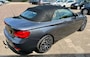 BMW 2-Serie 220I HIGH EXECUTIVE NAP LOGISCH