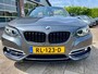 BMW 2-Serie 220I HIGH EXECUTIVE NAP LOGISCH