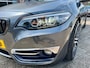 BMW 2-Serie 220I HIGH EXECUTIVE NAP LOGISCH