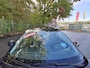 SEAT Ibiza 1.2-12V Selection LEUKE AUTO ZO WEG PRIJSJE