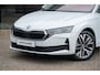 Skoda Octavia 1.5 TSI MHEV DSG Business Edition | Trekhaak | Lodge Int. | Matrix LED | Adapt. Cruise | Camera | Stoel-stuurverw.