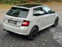 Skoda Fabia 1.2 TSI Monte Carlo Nardo Grey UNIEK PANORAMADAK LED XENON NAVI CARBON
