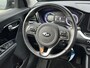 Kia Niro Hybrid 1.6 GDi DynamicLine Trekhaak | Navigatie | Cruise control | Climate control