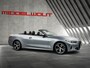 BMW 4-Serie Cabrio 420i High Exe. M-Sport Sportstoelen/Memory/Leder/18'LMV