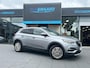 Opel Grandland X 1.2 Turbo Business Executive | ACHTERUITRIJCAMERA|AUT | AIRCO | NAP