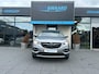 Opel Grandland X 1.2 Turbo Business Executive | ACHTERUITRIJCAMERA|AUT | AIRCO | NAP