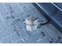 Volvo XC60 T8 Automaat Twin Engine AWD Inscription | Schuif/kanteldak | Trekhaak | DAB | Verw. Voorstoelen | Verw. Achterbank