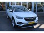 Opel Grandland X 301PK 1.6 Turbo Hybrid4 Business Executive | Camera | Dodehoekdetectie | AppleCarplay | Keyless | 19" LMV