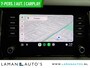 Skoda Kodiaq 1.5 TSI 150pk DSG Limited Business Edition 7P Aut. | Leder/Alcantara CarPlay Canton ECC Navi LED ACC 19" LMV Camera Side Assist Metallic | Voorschoten