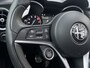 Alfa Romeo Stelvio 2.0 T AWD Special Edition 20 inch QV, Dealeronderh, Memory