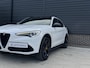 Alfa Romeo Stelvio 2.0 T AWD Special Edition 20 inch QV, Dealeronderh, Memory