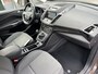 Ford Grand C-Max 1.0 125pk Titanium Navi, Clima, Trekhaak