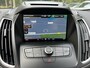 Ford Grand C-Max 1.0 125pk Titanium Navi, Clima, Trekhaak