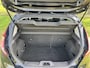 Ford Fiesta 1.0 EB 100PK Titanium | NIEUWE DISTRIBUTIERIEM | EERSTE EIGENAAR |