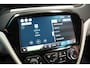 Opel Ampera-e Business Executive 60 kWh [ Bose Leder Camera ]