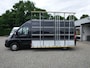 Fiat Ducato 2.3 MultiJet 130PK, L3H2, Airco, Glasresteel Prime Design, type 1642, 500 Kg max