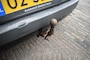 Renault Scenic 2.0-16V PRIV.LUXE, CLIMA, AUT, EXPORT