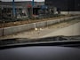 BMW 5-Serie Touring 530d M-Sport | PANO | STOEL VENT. & VERW. | CARBONSCHWARZ | TREKHAAK | HUD | ADAPTIVE CRUISE | FULL OPTION