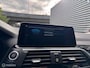 BMW X3 xDrive30e 292 pk, trekhaak, cockpit pro