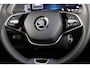 Skoda Octavia Business Edition 1.5 TSI M-HEV 115pk DSG | Private lease vanaf 731,-- | Parkeercamera | 17 inch Lichtmetalen velgen |  Verwarmbare voorstoelen | 13 inch display | Adaptieve Cruise Control