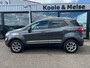 Ford EcoSport 1.0 EcoBoost 125pk Titanium, voorruitverwarming , stoelverwarming , schuif dak