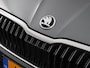 Skoda Fabia 1.0 TSI Business Edition (Stoelverw. / Camera / Navi / Draadloos carplay / Keyless)