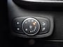 Ford Fiesta 1.0 AUTOMAAT 100pk Active met WinterPack en Panoramadak