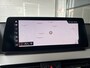 BMW X2 xDrive20i High Executive | M-SPORT | SCHUIF/KANTELDAK | NAVI XL | ADAPTIVE CRUISE CONTROL | LMV 19'' | CLIMATE CONTROL | PDC | STOELVERWARMING | LED | ELEKTR. ACHTERKLEP | BLUETOOTH