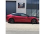 Tesla Model 3 Performance + PILLAR DELETE + TINTED RAMEN