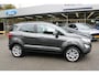 Ford EcoSport 1.0 EcoBoost 125pk Titanium, Driver Assistance, Winter en X-Pack