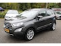 Ford EcoSport 1.0 EcoBoost 125pk Titanium, Driver Assistance, Winter en X-Pack