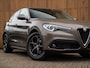 Alfa Romeo Stelvio 2.2d Super | Camera | Grote Navi