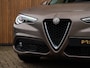 Alfa Romeo Stelvio 2.2d Super | Camera | Grote Navi
