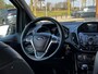 Ford B-Max 1.0 EcoBoost Titanium met NAP