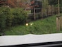 BMW iX3 High Executive 80 kWh | Harman Kardon | Camera | Apple Carplay | Head-up display | Panoramadak |