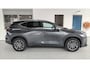 Lexus NX 450h+ Luxury Line | Dodehoek | Parksens | Leder | Apple/Android